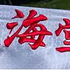 Karate-gui Tokaido Kumite Master Raw Premier League - WKF 13 karate-gui
