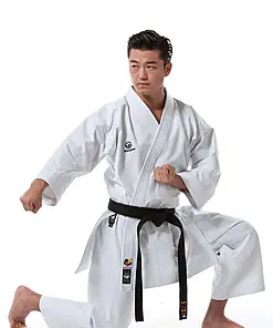 Liga de Maestros de Kata Tokaido de karate-gui
