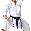 Karategi Tokaido Kata Master Sen- WKF 2 Maestro Sen de karate-gui Tokaido Kata