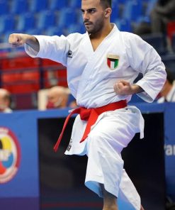 Maestro de karate-gui Tokaido Kata Tokio - Première Liga WKF