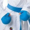 karate-gui