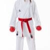 Karate-gui Tokaido Kumite Master Liga Premier en bruto