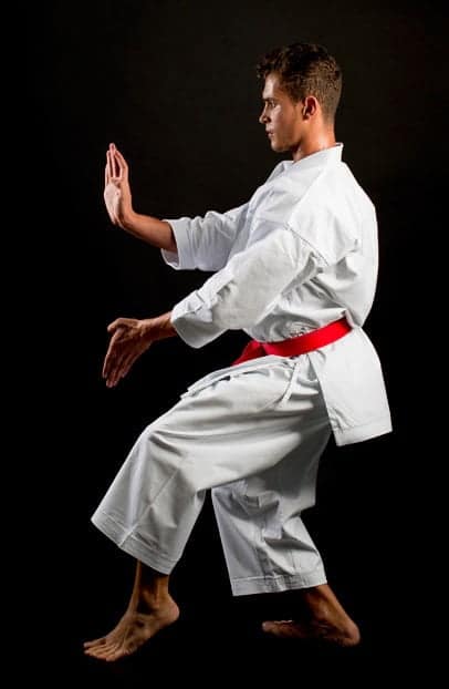 Karate-gi
