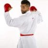karate-gui