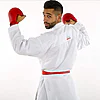 karate-gui