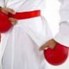 karate-gui
