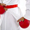 karate-gui