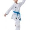 karate-gui