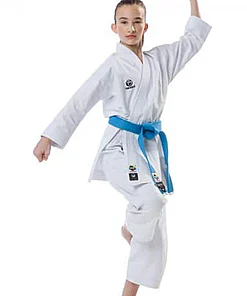 karate-gui