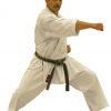 Kimono Shureido Torneo Sempai TK11 - Blanco-gyaku-tsuki