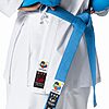 Tokaido Kumite Master