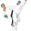 Kimono Karate TOKAIDO Hayate