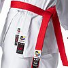 Tokaido Kumite Master