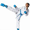 Tokaido Kumite Master