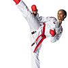 Tokaido Kumite Master