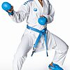 Tokaido Kumite Master