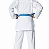 Tokaido Kumite Master