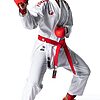 Tokaido Kumite Master