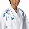 Tokaido Kumite Master