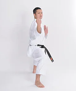 Karate-gui Tokyodo SP-1000
