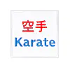 parches-velcro-para-bolsos-a-kaido-karate
