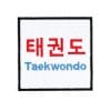 velcro-parches-para-bolsos-tokaido-taekwondo