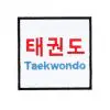 velcro-parches-para-bolsos-tokaido-taekwondo