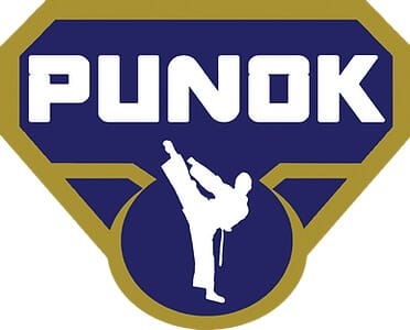 Karate-gi