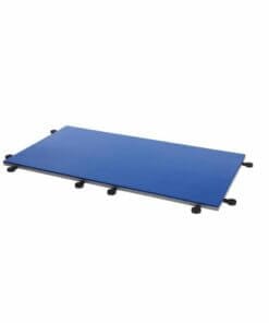 tatami-progame-i-tis-easy-ijf-approved-blue
