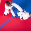Tatami ProGame Aprobado por la WKF - Puzzle 2 cm 10 tatami-juego