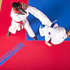 Tatami ProGame Aprobado por la WKF - Puzzle 2 cm 10 tatami-juego