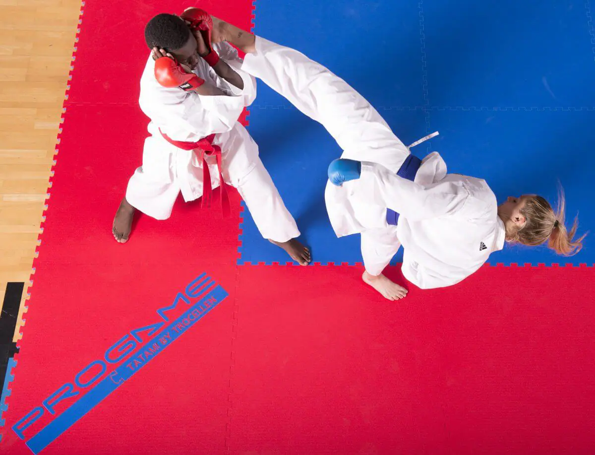 Tatami ProGame Aprobado por la WKF - Puzzle 2 cm 6 tatami-juego